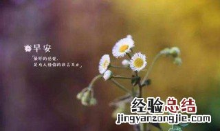 春天问候早安的句子 关于春天问候早安的唯美句子