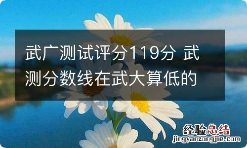 武广测试评分119分 武测分数线在武大算低的吗