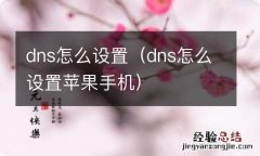 dns怎么设置苹果手机 dns怎么设置