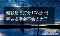 储毅起名打分108分 储字做名字会不会太大了