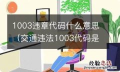 交通违法1003代码是什么意思 1003违章代码什么意思