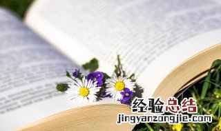 2个字可爱呆萌名字 2个字可爱呆萌名字女