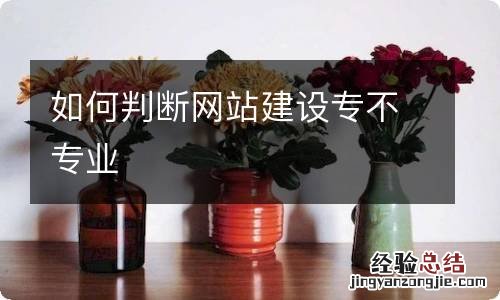 如何判断网站建设专不专业