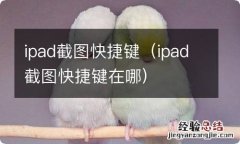 ipad截图快捷键在哪 ipad截图快捷键