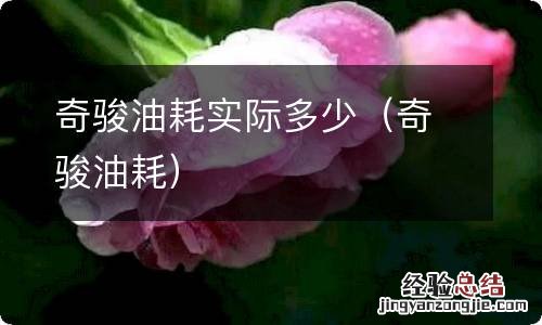 奇骏油耗 奇骏油耗实际多少