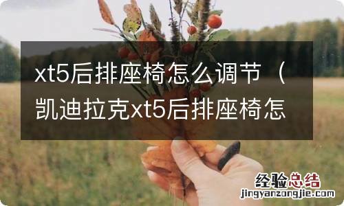 凯迪拉克xt5后排座椅怎么调节 xt5后排座椅怎么调节