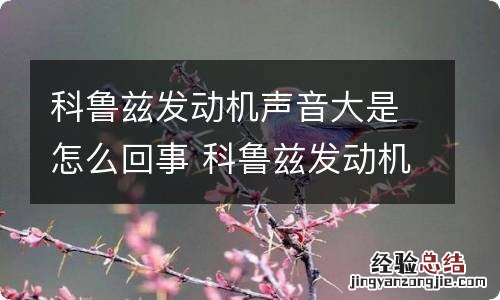 科鲁兹发动机声音大是怎么回事 科鲁兹发动机声音大是怎么回事视频