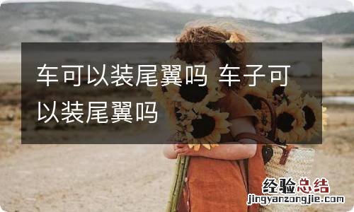 车可以装尾翼吗 车子可以装尾翼吗