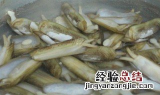 蛏子在水里泡涨了还能吃吗有毒吗 蛏子在水里泡涨了还能吃吗