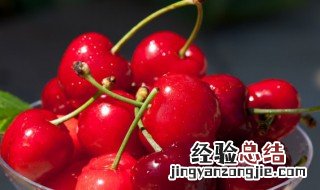 种植车厘子小技巧 种植车厘子小技巧图片