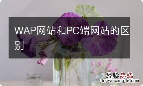 WAP网站和PC端网站的区别
