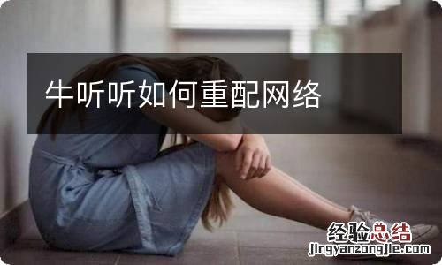 牛听听如何重配网络