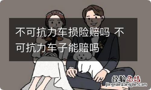 不可抗力车损险赔吗 不可抗力车子能赔吗