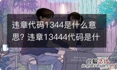 违章代码1344是什么意思? 违章13444代码是什么意思