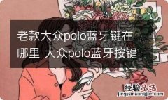 老款大众polo蓝牙键在哪里 大众polo蓝牙按键是哪个