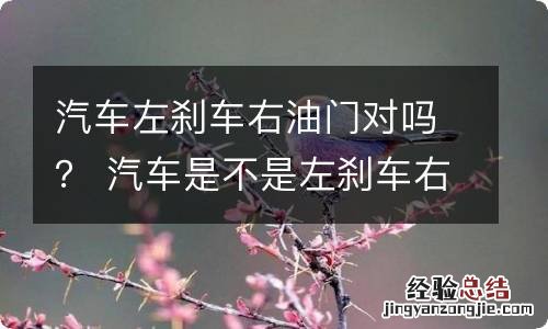 汽车左刹车右油门对吗？ 汽车是不是左刹车右油门