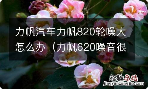 力帆620噪音很大 力帆汽车力帆820轮噪大怎么办