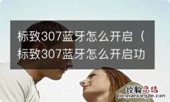 标致307蓝牙怎么开启功能 标致307蓝牙怎么开启