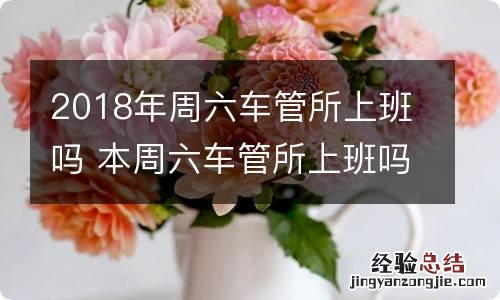 2018年周六车管所上班吗 本周六车管所上班吗