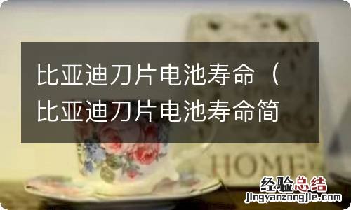 比亚迪刀片电池寿命简介 比亚迪刀片电池寿命