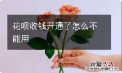 花呗收钱开通了怎么不能用