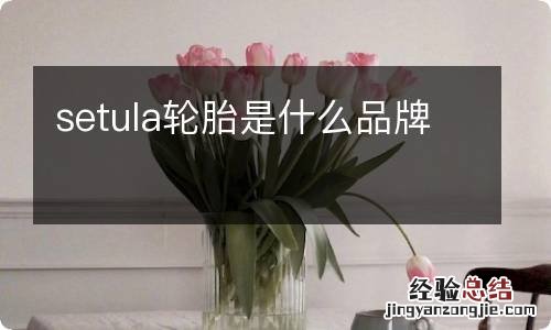 setula轮胎是什么品牌