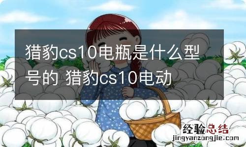 猎豹cs10电瓶是什么型号的 猎豹cs10电动