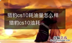 猎豹cs10耗油量怎么样 猎豹cs10油耗