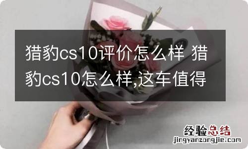 猎豹cs10评价怎么样 猎豹cs10怎么样,这车值得买吗