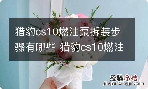 猎豹cs10燃油泵拆装步骤有哪些 猎豹cs10燃油泵怎么拆