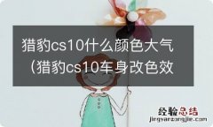 猎豹cs10车身改色效果图 猎豹cs10什么颜色大气