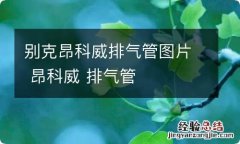 别克昂科威排气管图片 昂科威 排气管