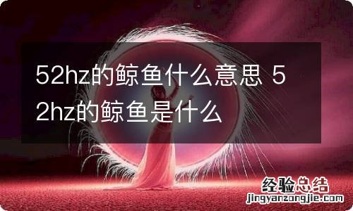 52hz的鲸鱼什么意思 52hz的鲸鱼是什么