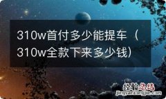 310w全款下来多少钱 310w首付多少能提车