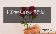 丰田rav4加多少号汽油