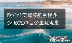 欧拉r1实际续航里程多少 欧拉r1百公里耗电量