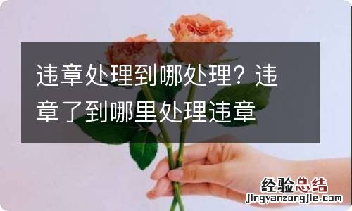 违章处理到哪处理? 违章了到哪里处理违章