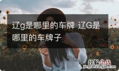 辽g是哪里的车牌 辽G是哪里的车牌子