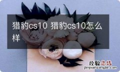 猎豹cs10 猎豹cs10怎么样