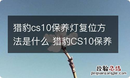 猎豹cs10保养灯复位方法是什么 猎豹CS10保养灯复位