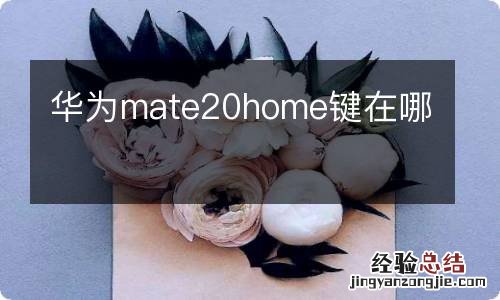 华为mate20home键在哪