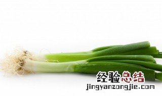 立夏葱的种植方法和注意事项是什么 葱夏天怎么种