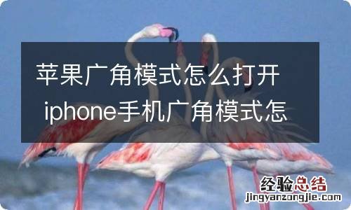 苹果广角模式怎么打开 iphone手机广角模式怎么打开