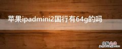 iPhoneipadmini2国行有64g的吗