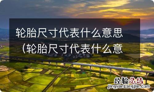 轮胎尺寸代表什么意思? 轮胎尺寸代表什么意思