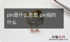 pin是什么意思 pin指的什么