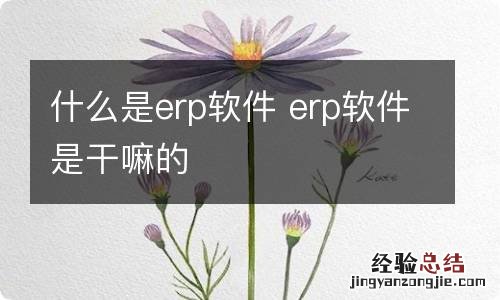 什么是erp软件 erp软件是干嘛的