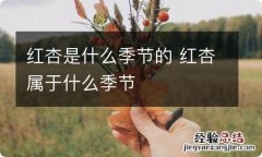 红杏是什么季节的 红杏属于什么季节