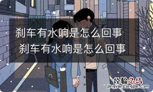 刹车有水响是怎么回事 刹车有水响是怎么回事啊