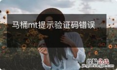 马桶mt提示验证码错误